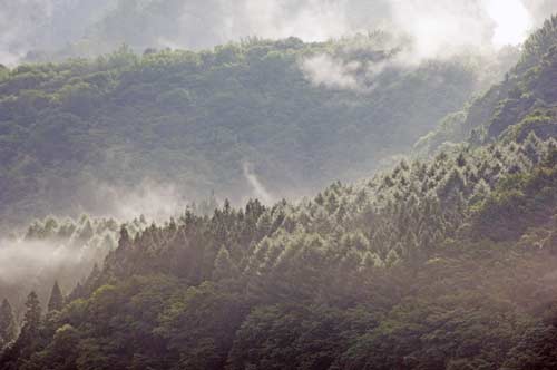 mist hodakaso-AsiaPhotoStock