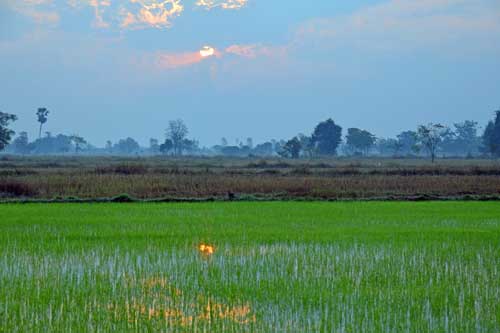 morning sun-AsiaPhotoStock