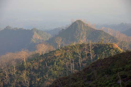 morning mist-AsiaPhotoStock