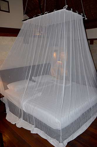 mosquito net-AsiaPhotoStock