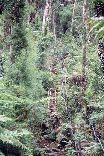 mount kinabalu steps-AsiaPhotoStock