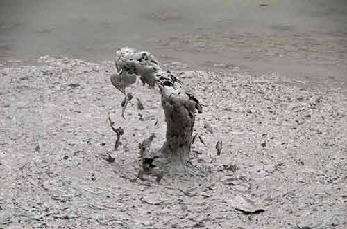 mud boiling wai o tapu-AsiaPhotoStock