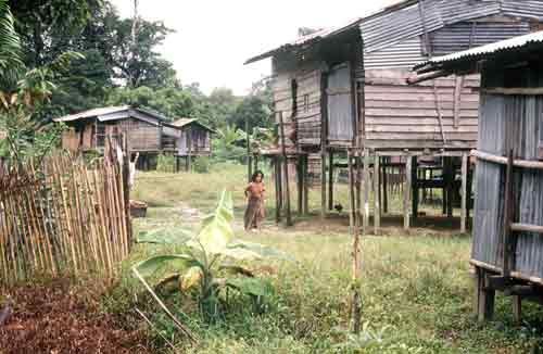 mulu penan village-AsiaPhotoStock