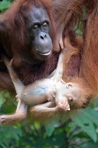 mum and child-AsiaPhotoStock