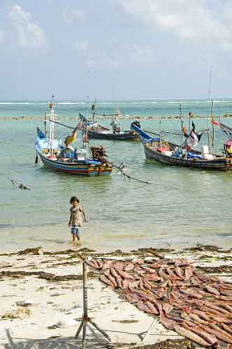 muslim village drying fish-AsiaPhotoStock