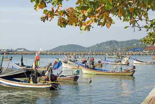 nathon harbour-AsiaPhotoStock