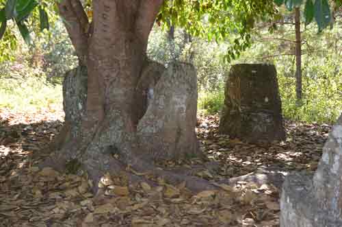 nature and jar-AsiaPhotoStock