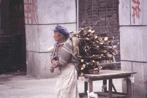 naxi carrying wood-AsiaPhotoStock