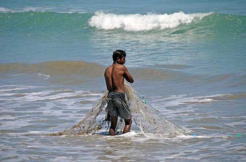 net sumba island-AsiaPhotoStock