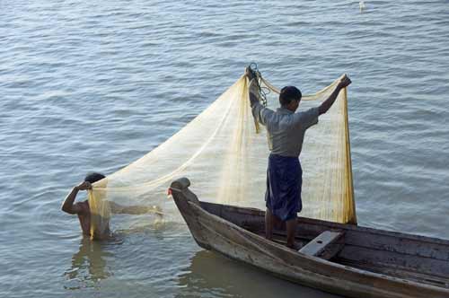 net-AsiaPhotoStock