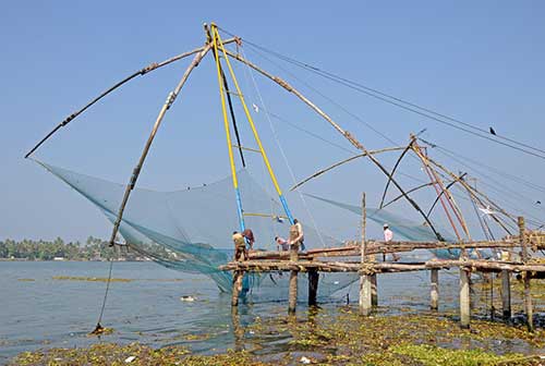 nets-AsiaPhotoStock