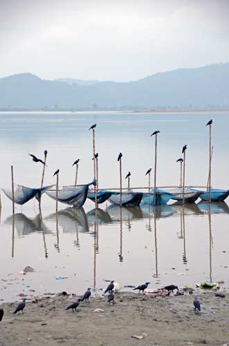 nets guwahati-AsiaPhotoStock