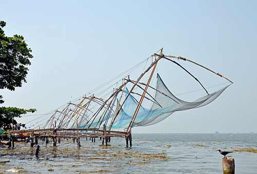 nets kochi-AsiaPhotoStock