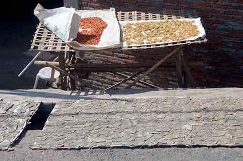 nibbles drying-AsiaPhotoStock