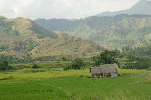 nipa hut-AsiaPhotoStock