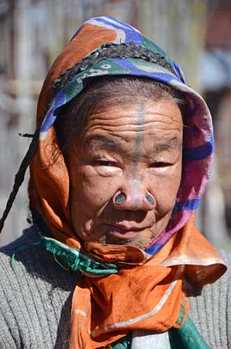 nose plugs of cane-AsiaPhotoStock