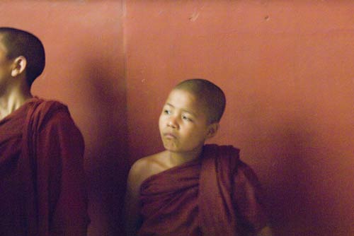 novice monk-AsiaPhotoStock