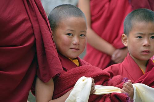 novice nun-AsiaPhotoStock