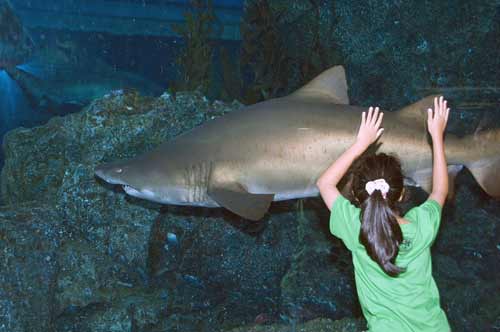 ocean world-AsiaPhotoStock