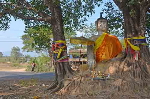 old buddha with trees-AsiaPhotoStock