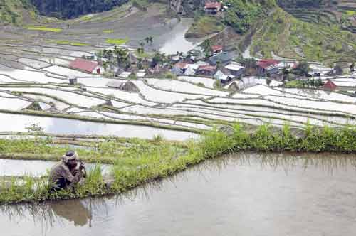 batad old lady works-AsiaPhotoStock