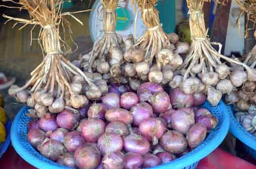 onions-AsiaPhotoStock