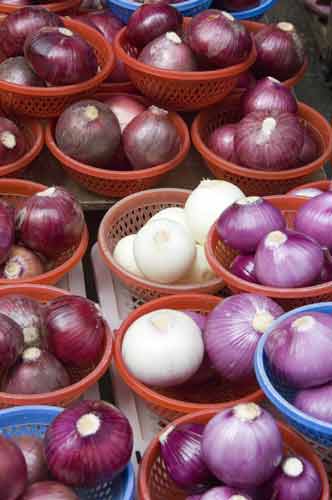 white and purle onions-AsiaPhotoStock