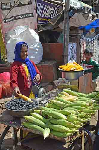 ooty sweetcorn-AsiaPhotoStock