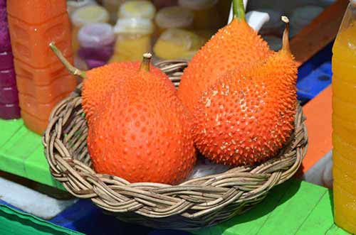 orange durian thailand-AsiaPhotoStock