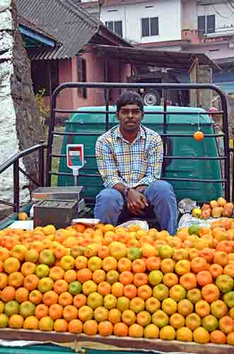 orange seller-AsiaPhotoStock