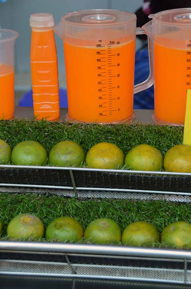 oranges and juice-AsiaPhotoStock