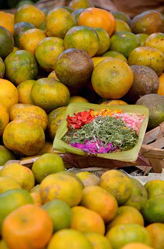 oranges with offering-AsiaPhotoStock