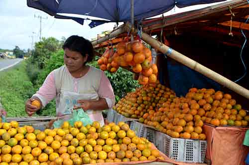 oranges stall-AsiaPhotoStock