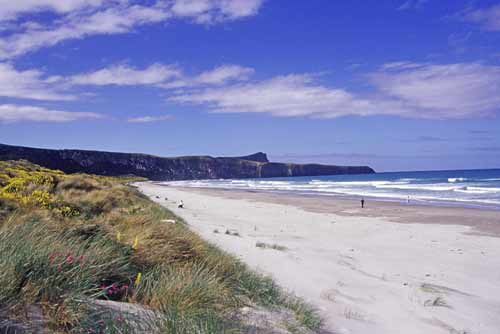 otago beach-AsiaPhotoStock