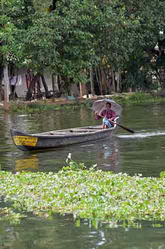 paddle backwaters-AsiaPhotoStock