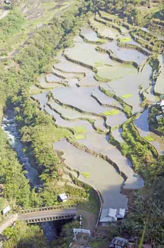 banaue hapao bridge-AsiaPhotoStock