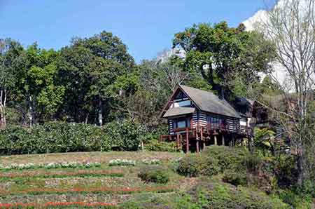 palace chiang mai-AsiaPhotoStock