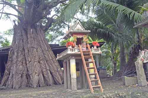 palm sugar village-AsiaPhotoStock