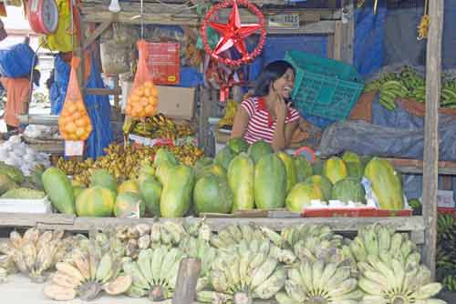 papaya stall at market-AsiaPhotoStock