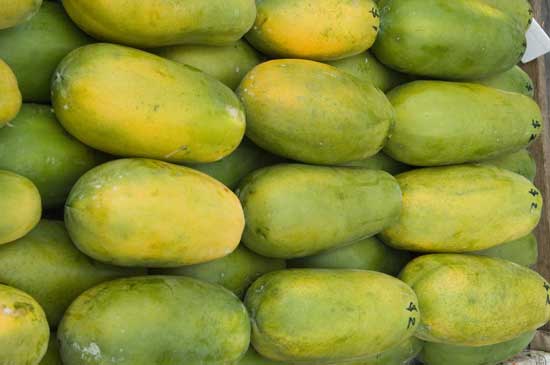 papayas-AsiaPhotoStock