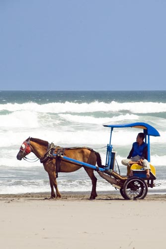 parangtritis carriage-AsiaPhotoStock