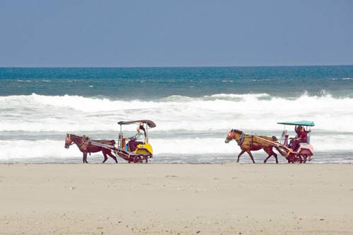 parangtritis carriages-AsiaPhotoStock