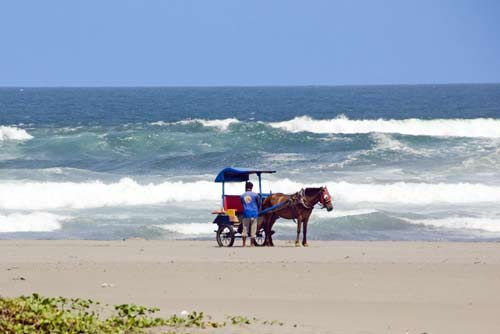 parangtritis transport-AsiaPhotoStock