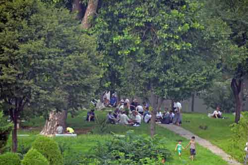 park-AsiaPhotoStock