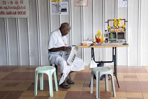 parrot fortune teller-AsiaPhotoStock