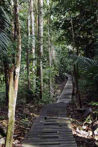 path on tanjung datu-AsiaPhotoStock