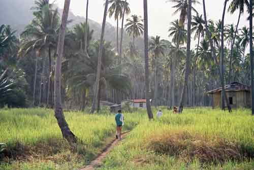 path through fields-AsiaPhotoStock