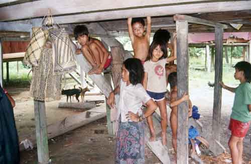 penan family gathering-AsiaPhotoStock