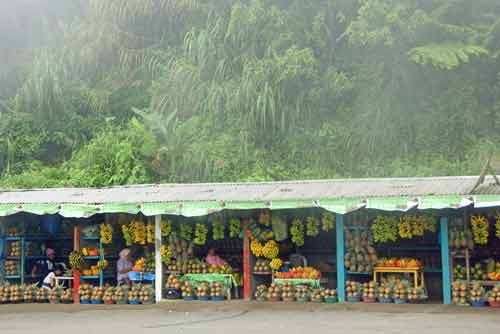 peoples park stalls-AsiaPhotoStock