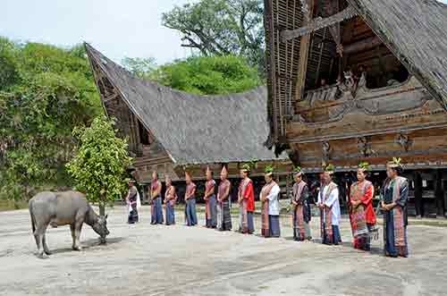 performance simanindo-AsiaPhotoStock